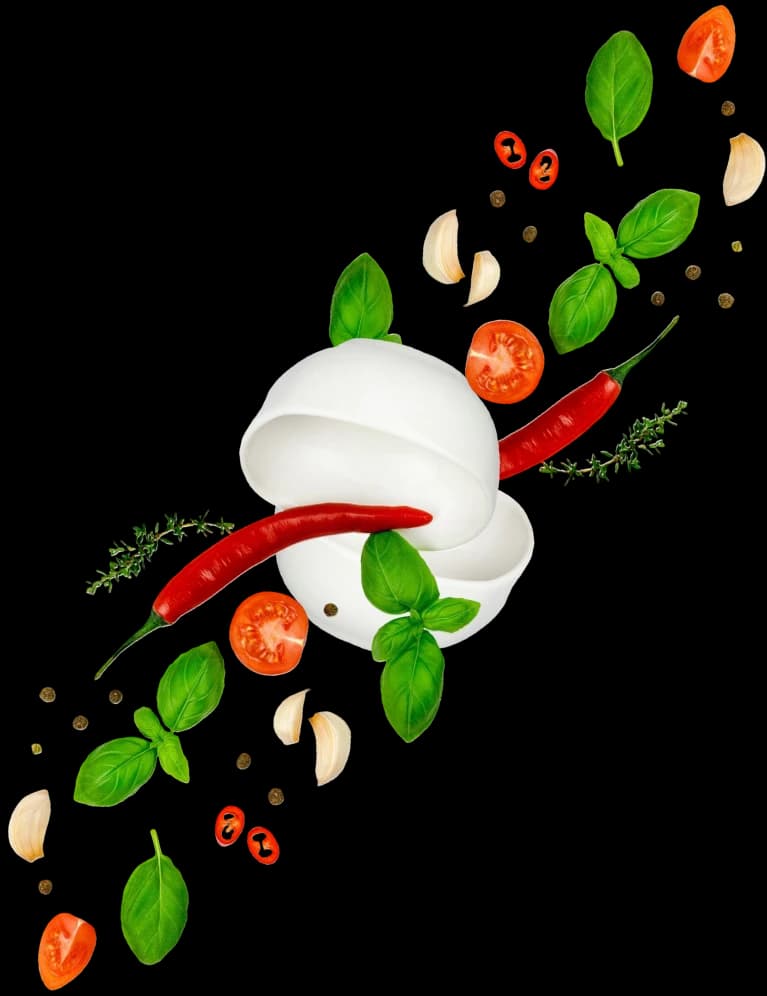 Maitra Creative Marketing Agency | Designing, Photography, Social Media